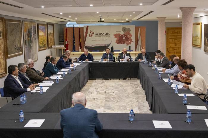 La Mancha adapta su reglamento para impulsar vinos blancos y responder a la caída mundial del consumo