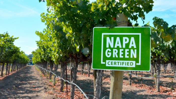 Napa Green Eliminates Glyphosate on 6,000 Acres, Cutting Vineyard Costs by 36 Percent