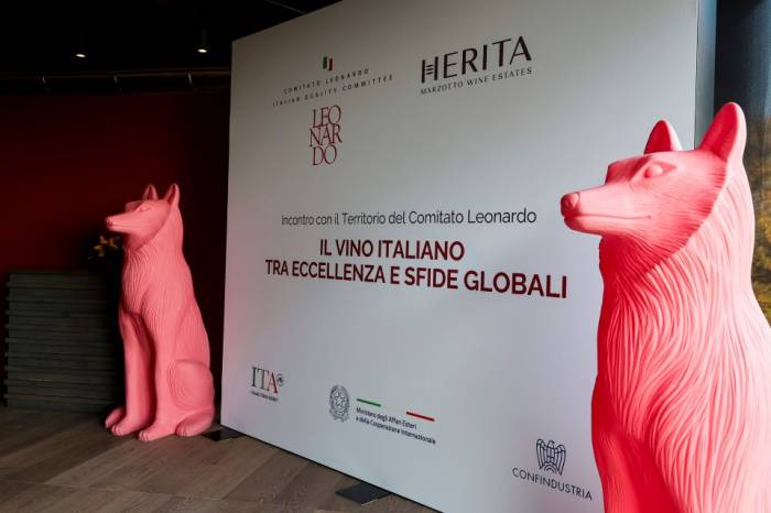 Italian Wine Exports Hit €8.1 Billion in 2024 Despite Decline in Regular Drinkers