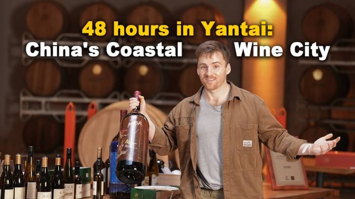 Yantai Produces One-Third of China’s Wine and Draws Up to 4 Million Visitors Annually