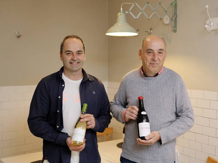 Vinos López lanza 8.000 botellas de garnacha blanca ecológica con vendimia manual y pisado artesanal