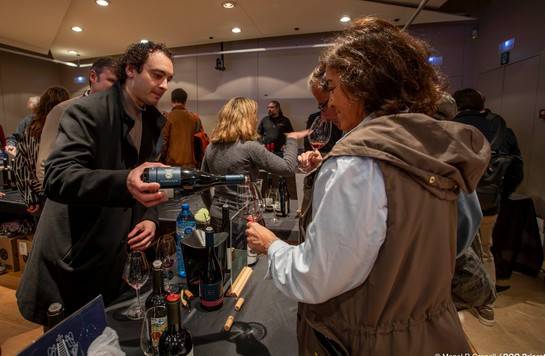 Más de treinta bodegas del Priorat presentan sus vinos en Barcelona ante doscientos profesionales del sector