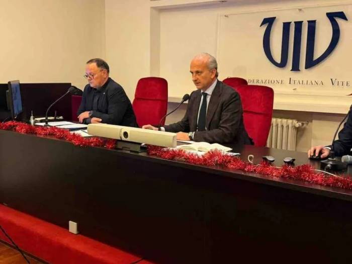 Italian Wine Exports to U.S. Drop by 110 Million Euros Amid Tariffs and Weak Retail Demand