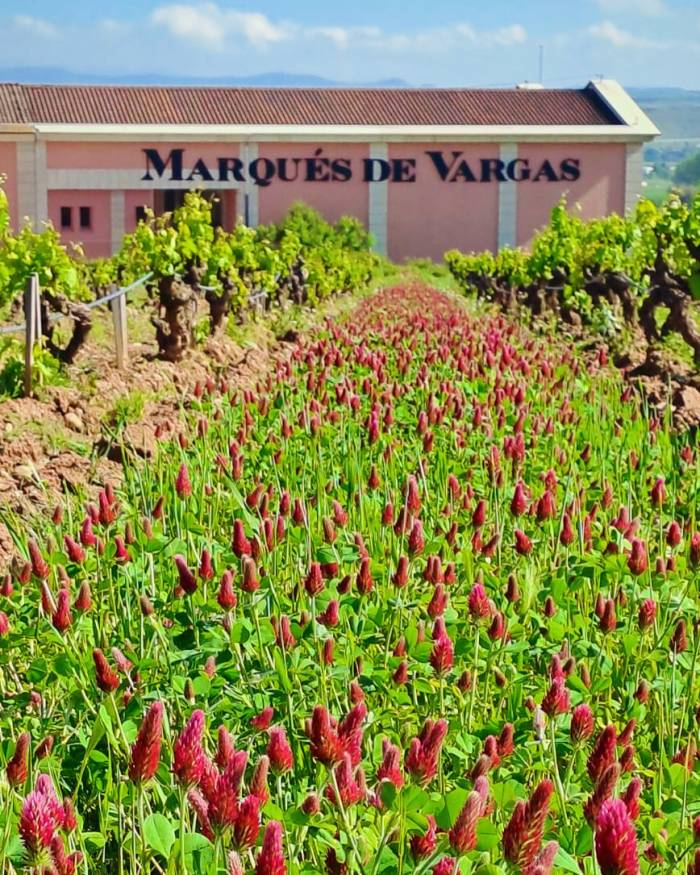Marqués de Vargas logra la certificación ecológica en Rioja y Ribera del Duero tras reforzar su apuesta sostenible