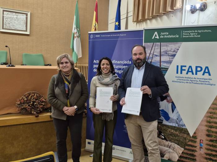 Ifapa y Aire Paisaje impulsan la recuperación de dos variedades autóctonas de vid en Los Pedroches