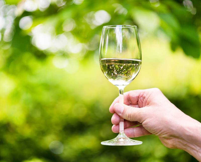 Un hombre sujeta una copa de vino blanco en el campo o en un viñedo