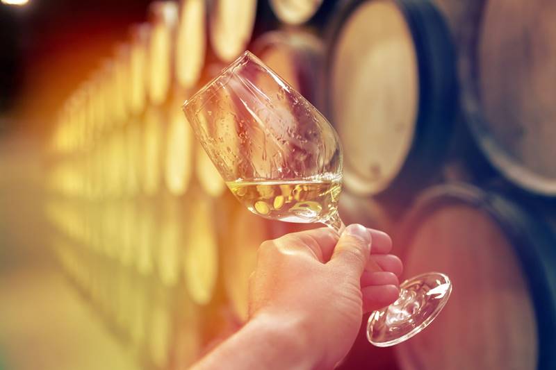 Sauvignon Blanc study reveals the impact of alcohol on aroma perception