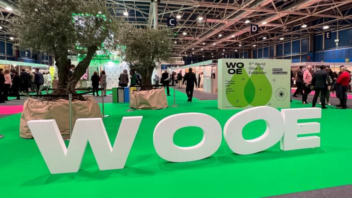 La Feria Internacional del Aceite de Oliva reunirá a líderes del sector en un evento clave para España