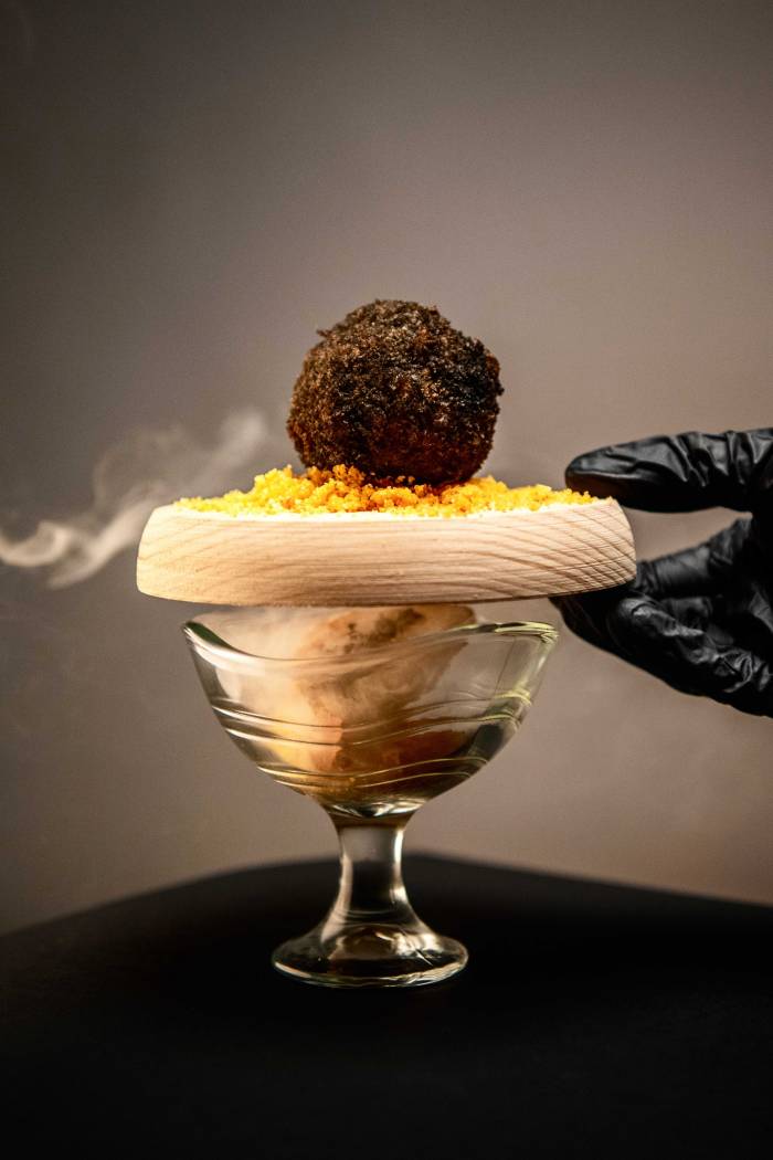 Finalistas listos para la novena edición de "Descubre la trufa" en Aragón