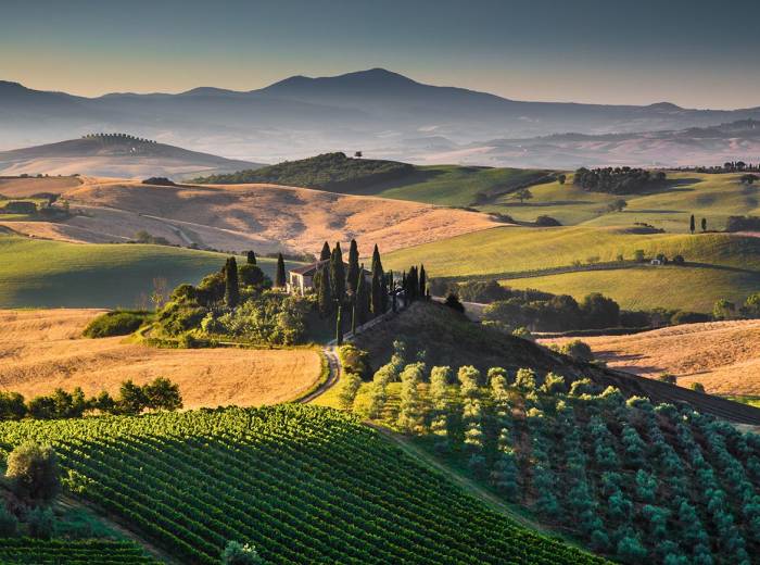 Toscana IGT Wines to Shine at L’Altra Toscana Event Amid Industry Challenges