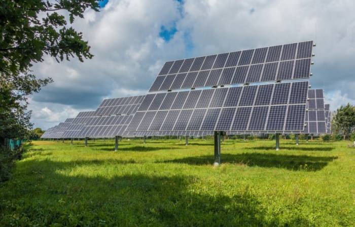 La comarca del Campo de Borja avanza hacia la autosuficiencia energética con cooperativas locales