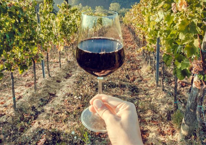 El mercado del vino en 2024 muestra resistencia pese a la caída de espumosos