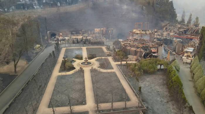 Newton Vineyard in Napa Valley Closes Permanently After 2020 Glass Fire