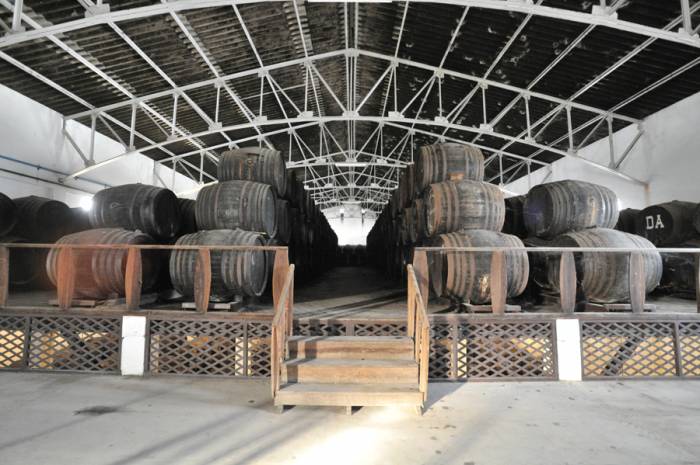 Bodegas Jesús Nazareno de Baena, un referente en la Denominación de Origen Montilla-Moriles