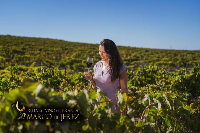 La Ruta del Vino y el Brandy del Marco de Jerez recibe la Bandera de Andalucía