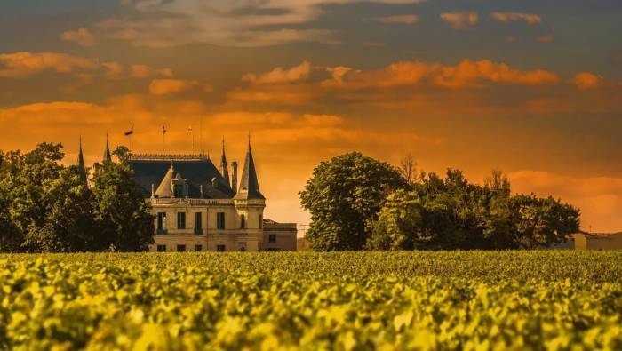Bordeaux Faces Smallest Wine Harvest in Over 30 Years Amid Weather and Vineyard Reductions