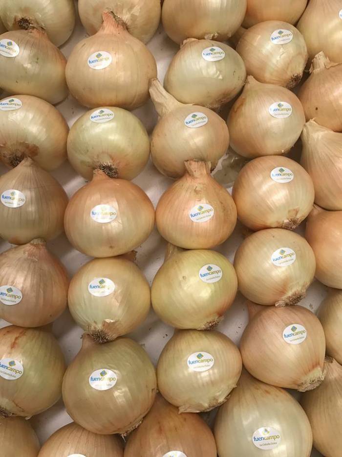 Cariñena celebra la primera jornada gastronómica de la cebolla dulce Fuencampo