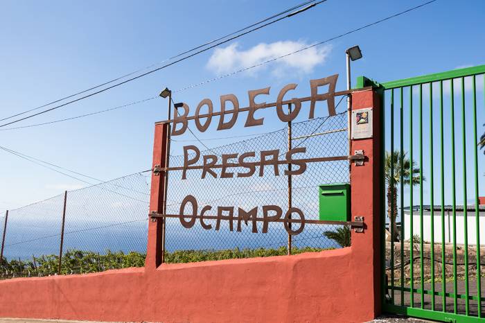 La obra "Contrapunto en la Bodega Presas Ocampo" destaca la cultura canario-americana