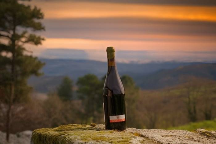 Los vinos de Ribeira Sacra triunfan en VinEspaña 2025 y en la guía gallega