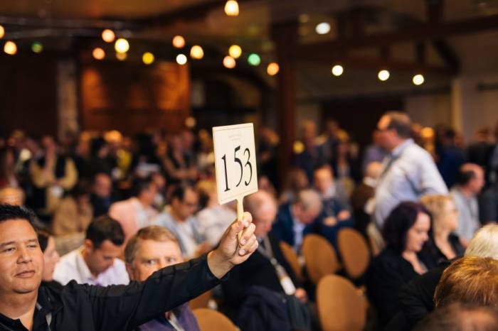 Napa Valley Wine Auction Sees Record Sales with 2023 Vintage