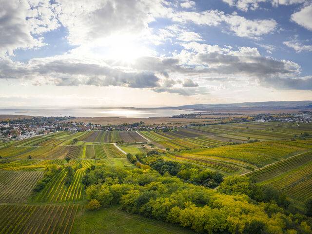 Austria Advances Wine Industry with Single Vineyard Classification
