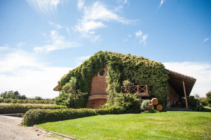 IWCA Launches Greenhouse Gas Emissions Calculator for Latin American Wineries