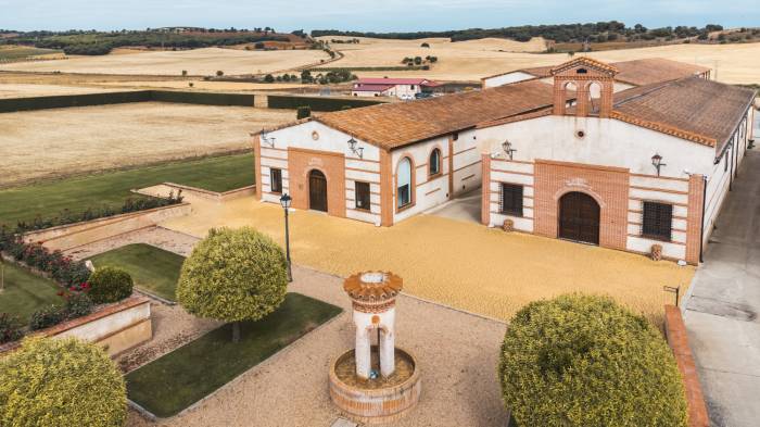 Bodega Numanthia establece récord de ventas con un crecimiento del 50% en cinco años