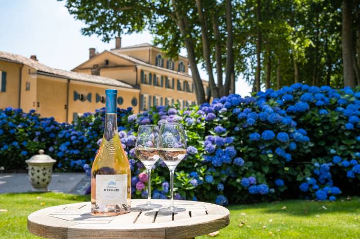 Provençal rosé wines set the tone for summer 2025 in fashionable destinations and American outdoor gatherings