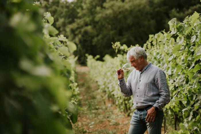 Viña Salceda logra dos premios en el Concurso de Vinos Fiesta de la Vendimia Rioja Alavesa