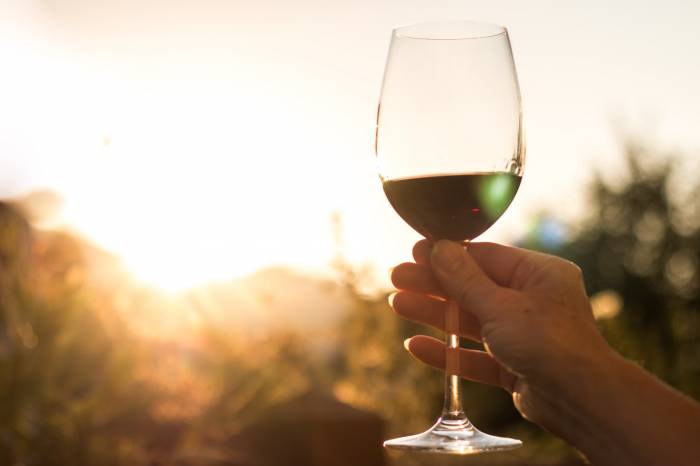 Wine industry faces permanent shift as new generations reshape global consumption by 2050