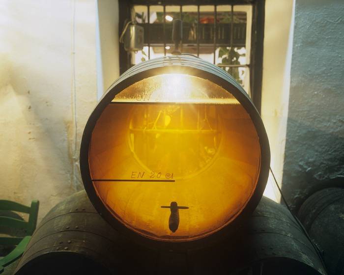 Los vinos de velo muestran diversidad y singularidad más allá de Jerez y el Jura