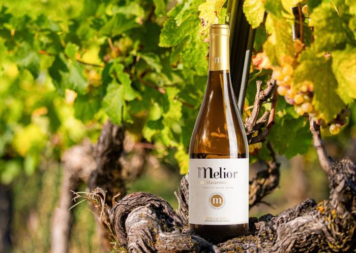 Matarromera lanza la nueva añada de su vino blanco Melior Albillo Mayor Cuvee 2023 en Ribera del Duero