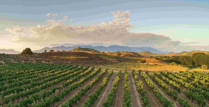 Zamora Company reduce su huella de carbono y refuerza su apuesta por la sostenibilidad en 2024