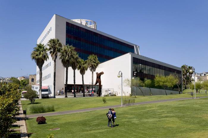 La Universidad de La Laguna y AFAVIN se alían para impulsar la innovación vitivinícola y el enoturismo entre Canarias y Brasil