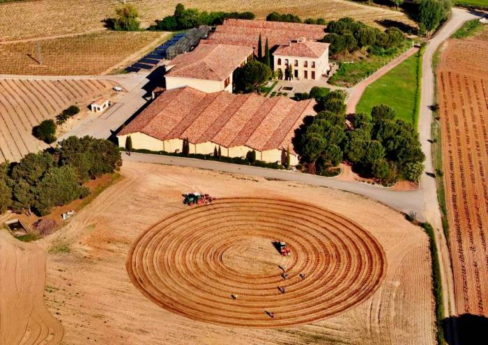 La Rioja Alta impulsa la sostenibilidad y la innovación en sus viñedos frente al cambio climático