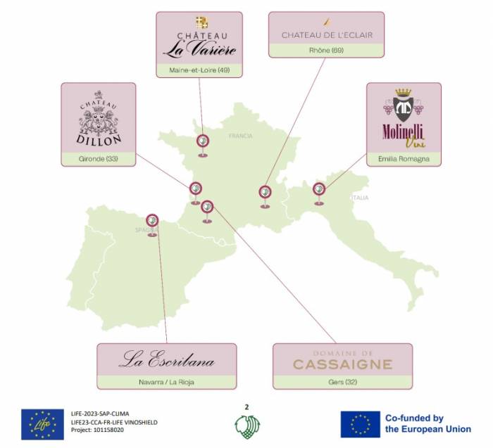 Protective nets installed in European vineyards to combat climate risks and safeguard grape production