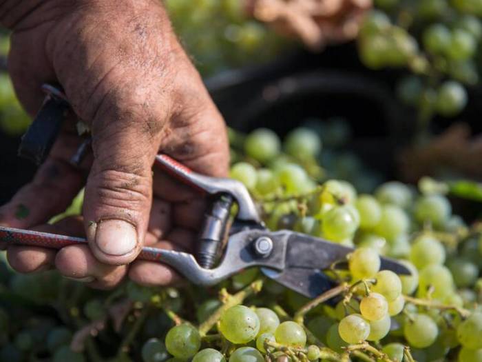 Cuarenta años de España en la Unión Europea transforman el sector agroalimentario y pesquero