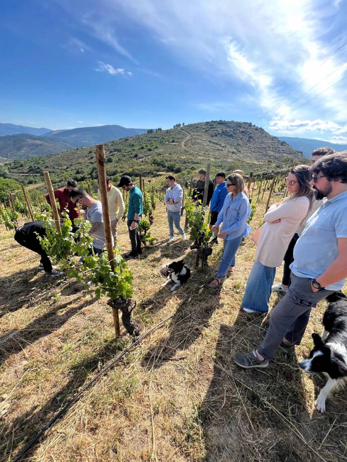 La bodega de Rafael Palacios en O Bolo abre sus puertas al público por primera vez