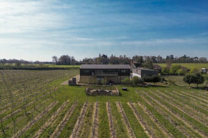 Chet Valley wine estate in Norfolk listed for sale as English vineyards attract growing investor interest