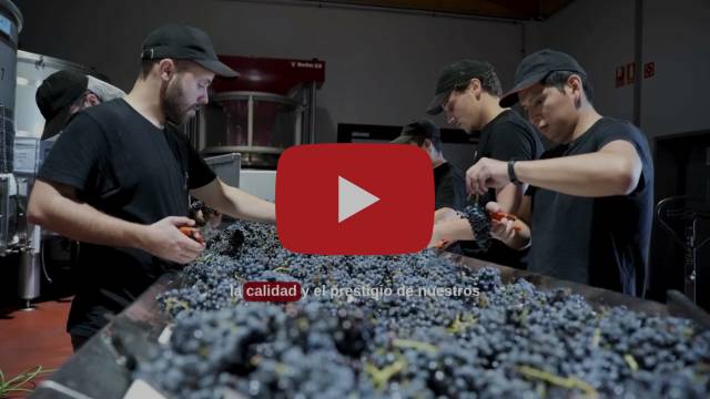 La Denominación de Origen Yecla celebra medio siglo impulsando la calidad y el prestigio de sus vinos