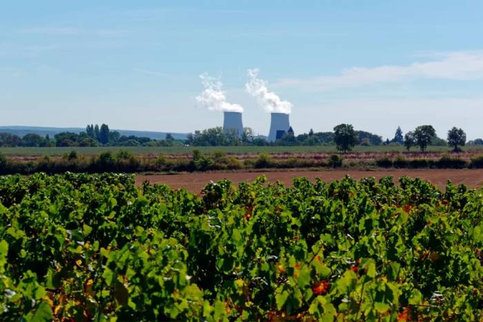 Bugey winegrowers sue EDF over nuclear plant name amid fears for regional identity