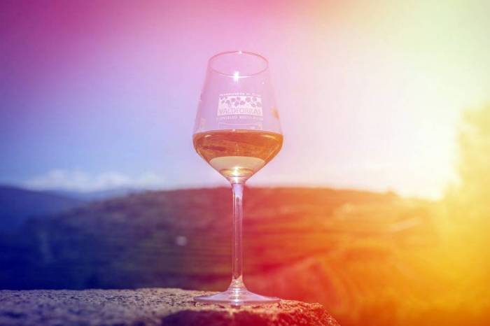 La XXVI Cata de los Vinos de Valdeorras premia la calidad y el esfuerzo de bodegas locales