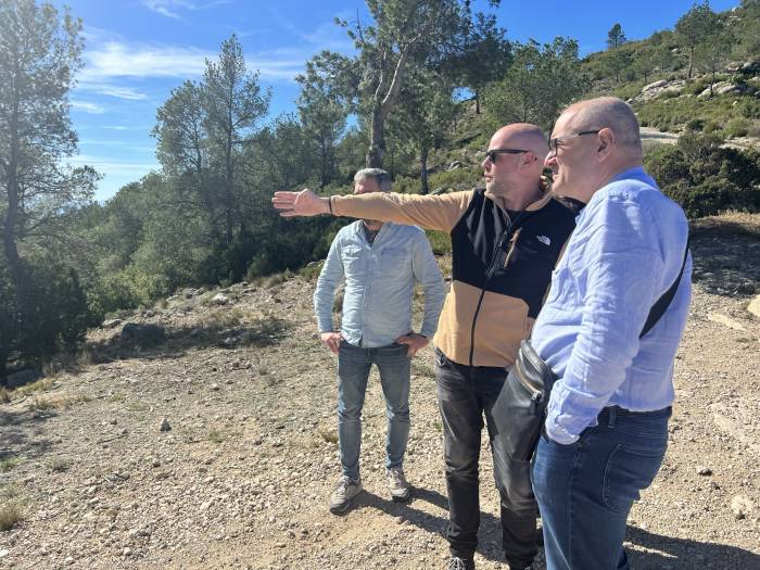 La DO Valencia consolida su prestigio en la Guía Peñín 2026 con más de la mitad de sus vinos por encima de 90 puntos