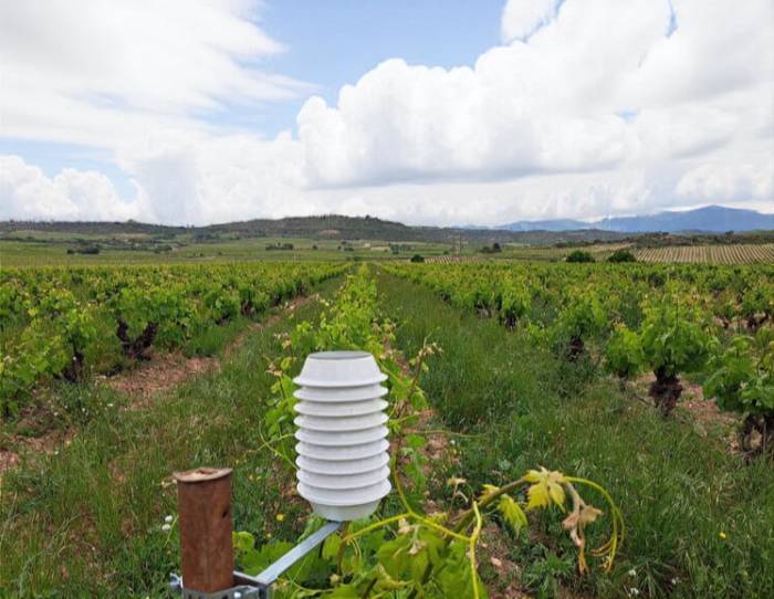 Tres startups españolas lideran la validación de tecnologías agrícolas en el programa europeo Test Farms 2025