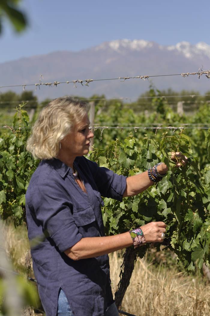 Bodega Antucura renueva imagen y presenta nuevas añadas de sus líneas Single Vineyard y Blends en Mendoza