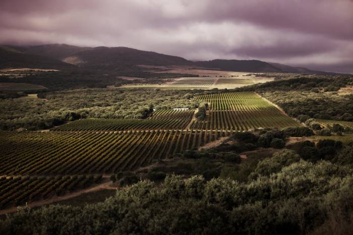 Vivanco propone vinos y visitas al museo para el Día del Padre