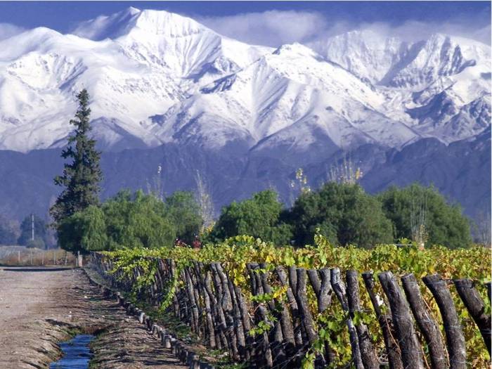 Chilean Wine Exports to U.S. Surge, Showing Promise for 2025