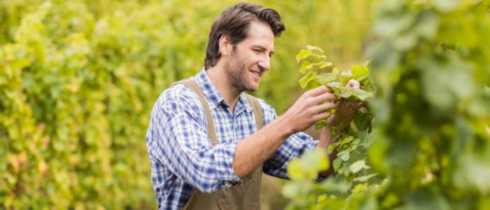 Expertos analizan el impacto de las políticas climáticas en el sector agroalimentario