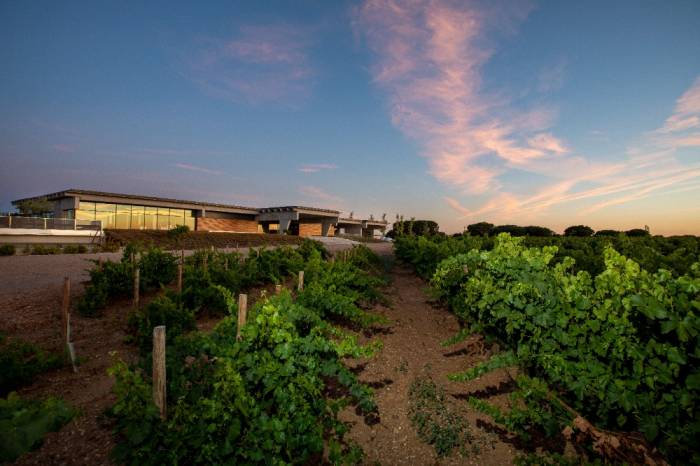 González Byass presenta su Memoria de Sostenibilidad 2023-2024