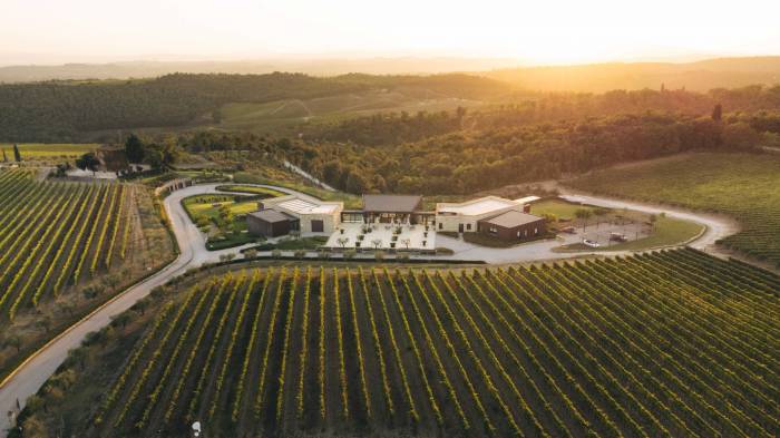Vallepicciola Partners with Edoardo Freddi International to Expand Global Wine Market Presence